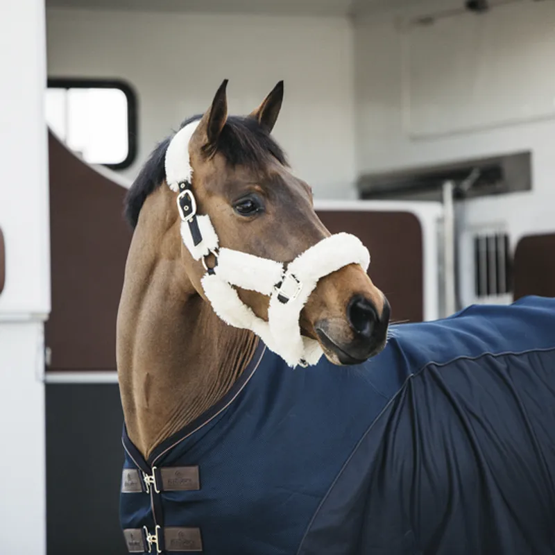 Kentucky Horsewear Kentucky Sheepskin Shipping Halter Natural 2 Kentucky Horsewear Kentucky Sheepskin Shipping Halter Natural – Image 2