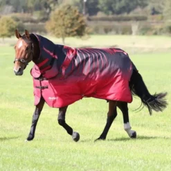 Tempest Original 200 Turnout Combo Rug In REDSKEL