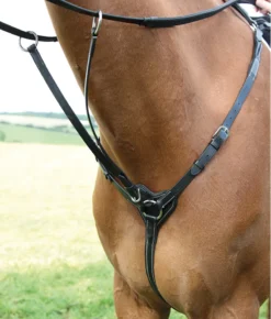 Salisbury Three Point Breastplate In Black