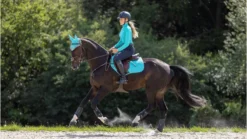 LeMieux CC Suede Square Azure