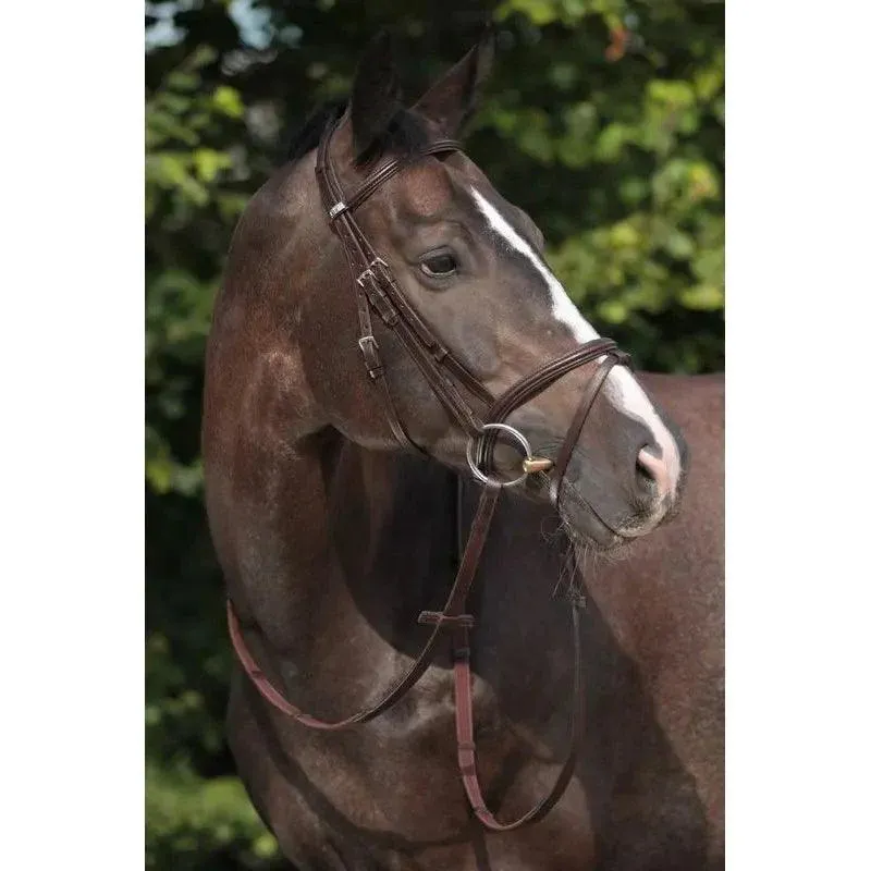 Stubben Snaffle Bridle 2300 Leitrim 2 Stubben Snaffle Bridle 2300 Leitrim – Image 2