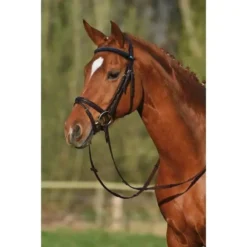Stubben Snaffle Bridle 2300 Leitrim