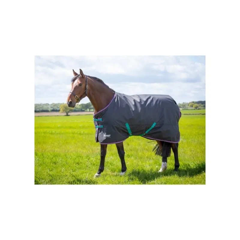 Tempest Original 300 Turnout Rug In BLACK 1 Tempest Original 300 Turnout Rug In BLACK