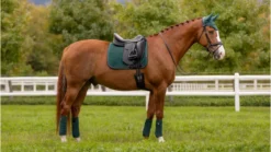 Le Mieux Suede Dressage Square Spruce -Fournitures Équestres Boutique tracyrobertson aw23 12 copy