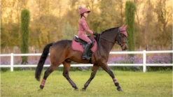 Le Mieux Suede GP Square Orchid -Fournitures Équestres Boutique tracyrobertson aw23 134 copy 1