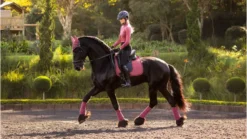 Le Mieux Suede Dressage Square Orchid