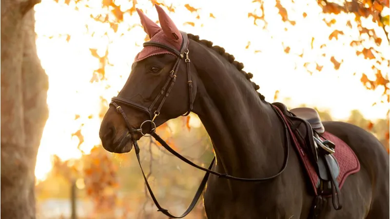 Le Mieux Classic Fly Hood Orchid 1 Le Mieux Classic Fly Hood Orchid