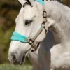 LeMieux Vogue Fleece Headcollar And Rope Azure