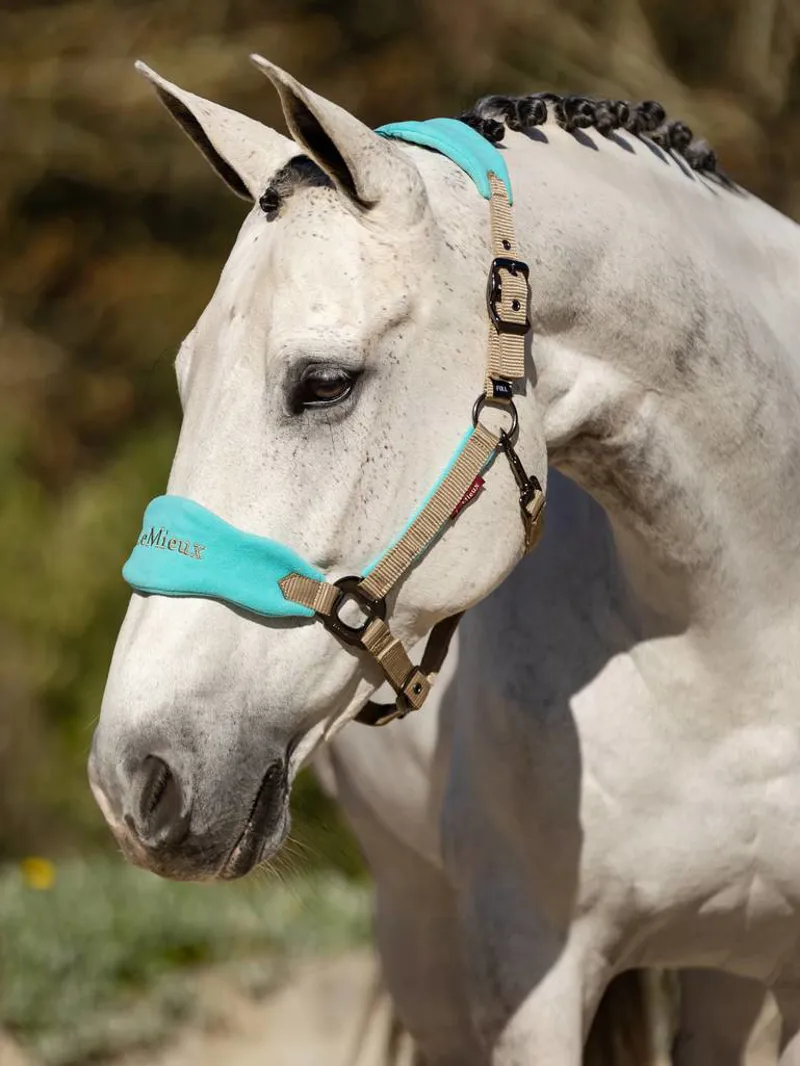 LeMieux Vogue Fleece Headcollar And Rope Azure 1 LeMieux Vogue Fleece Headcollar And Rope Azure