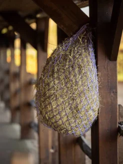 LeMieux Hippo Haynet Wisteria