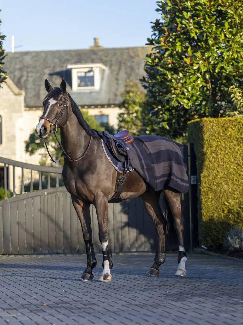 LeMieux Wool Blanket Navy/Grey 2 LeMieux Wool Blanket Navy/Grey – Image 2